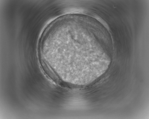 X0000063511104200602101919