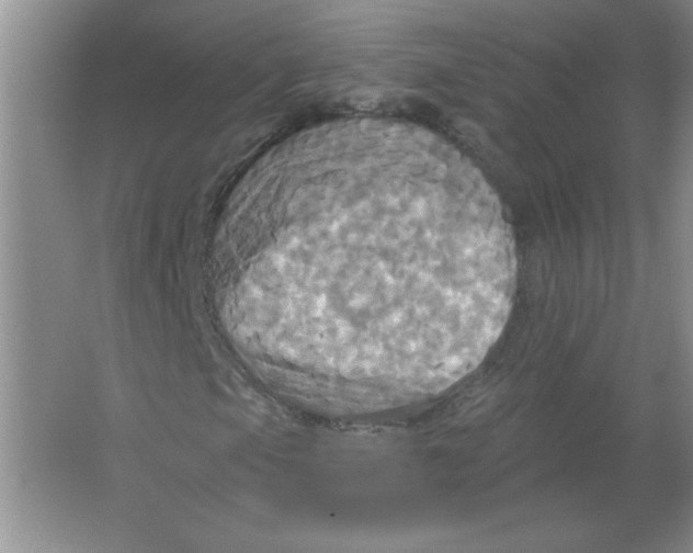 X0000063511105200602101918