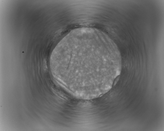 X0000063511106200602101918