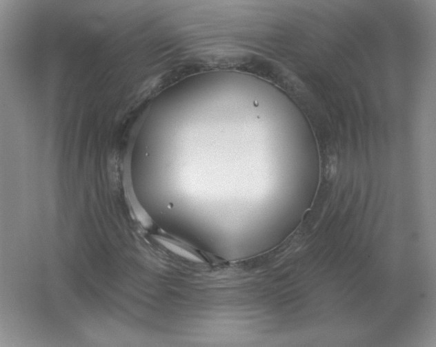 X0000063511108200602101918