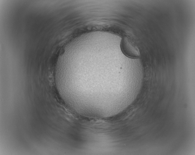 X0000063511109200602101918