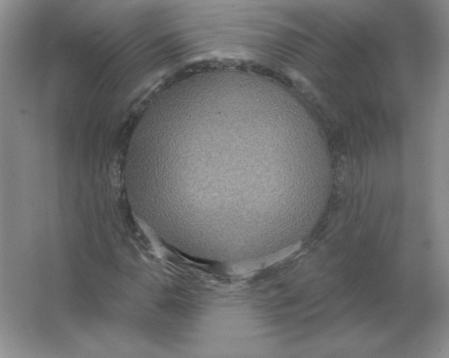 X0000063511110200602101918