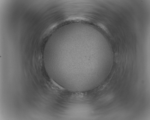 X0000063511111200602101918