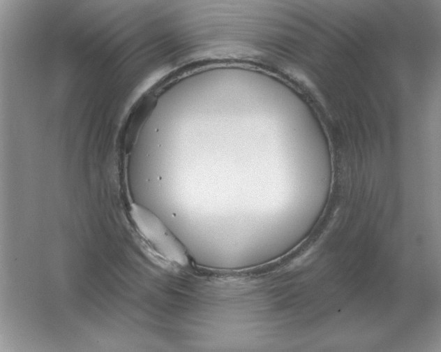 X0000063511114200602101918