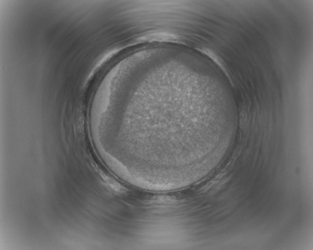 X0000063511115200602101918