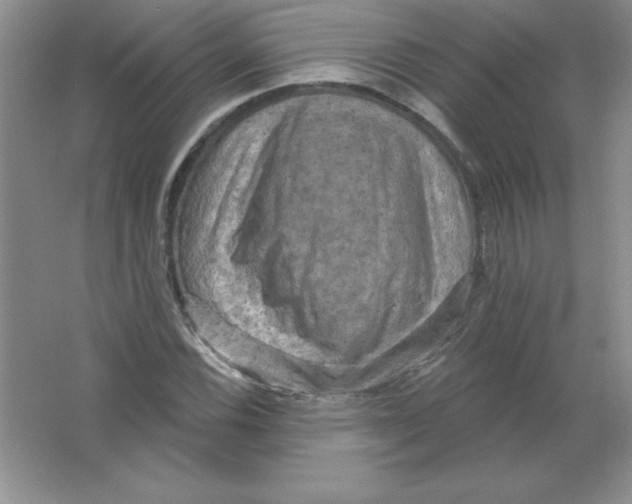 X0000063511116200602101918