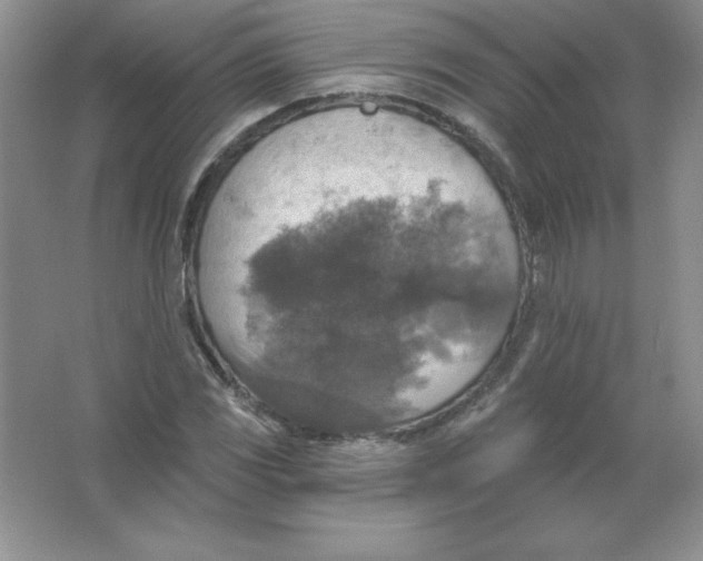 X0000063511117200602101918