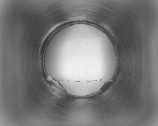 X0000063511118200602101918