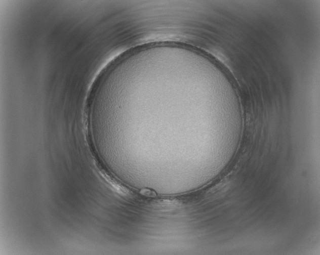 X0000063511119200602101918