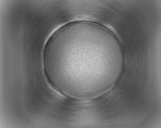 X0000063511120200602101918