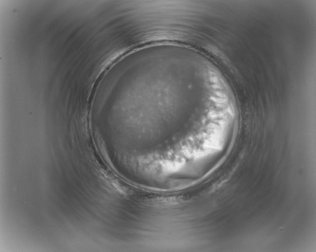 X0000063511121200602101918