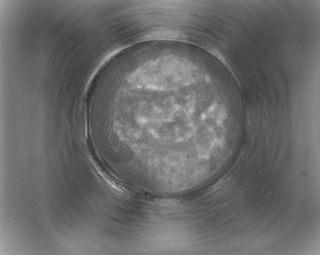 X0000063511123200602101918