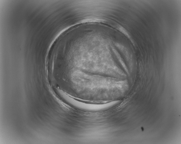 X0000063511124200602101918