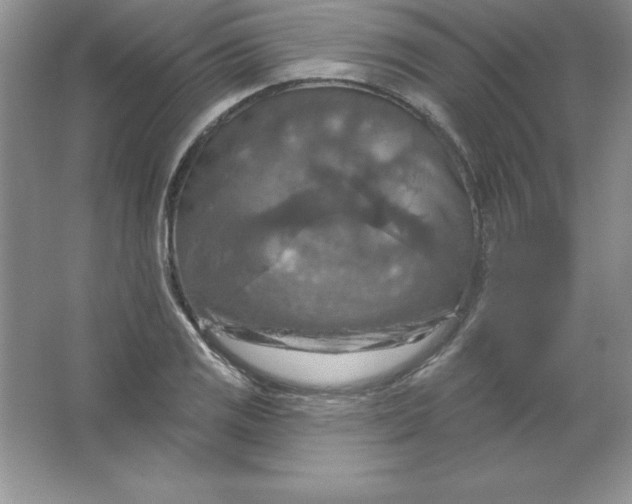 X0000063511125200602101918