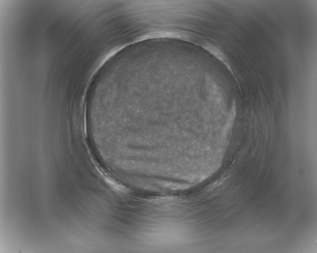 X0000063511127200602101918