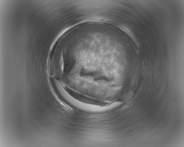 X0000063511128200602101918