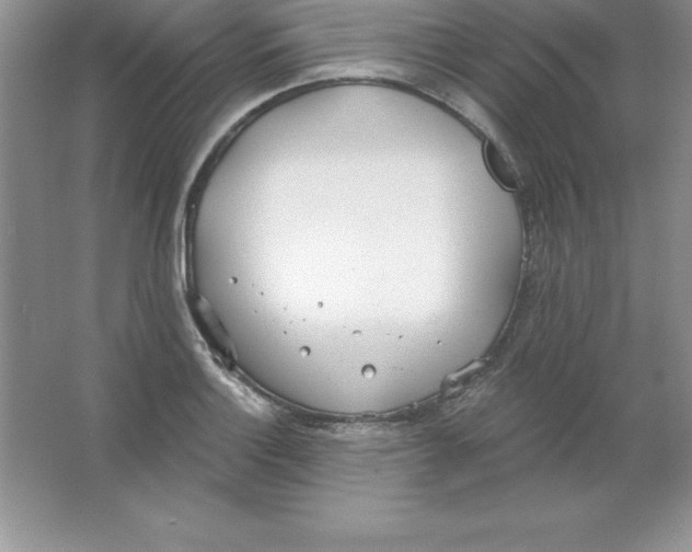 X0000063511132200602101918