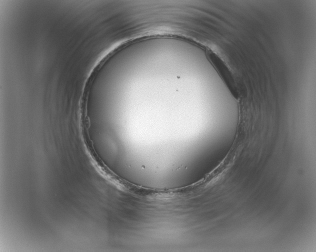 X0000063511134200602101918