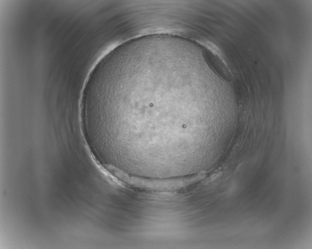 X0000063511135200602101918