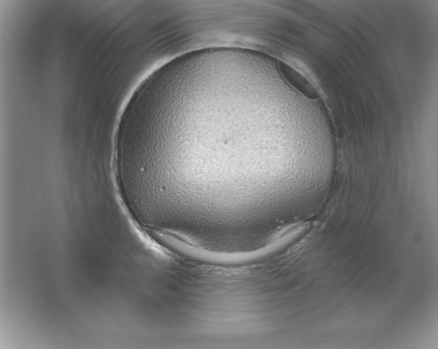 X0000063511136200602101918