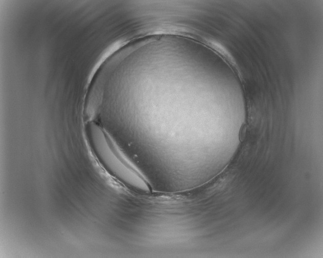 X0000063511138200602101918