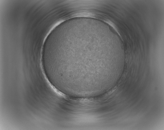 X0000063511139200602101918