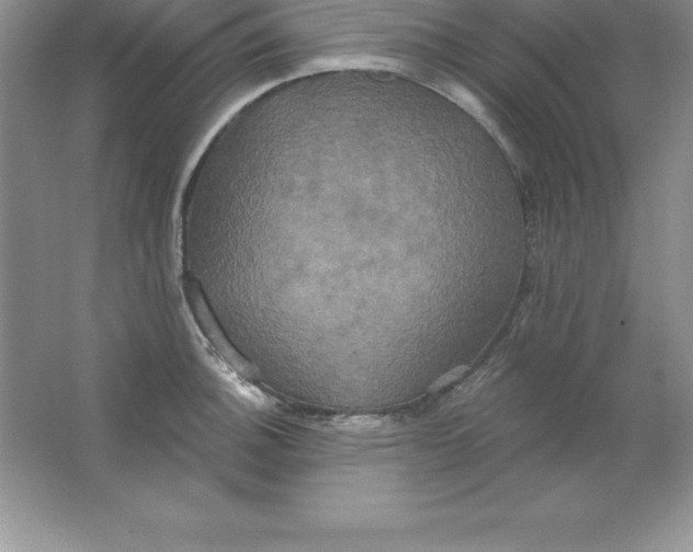 X0000063511140200602101919