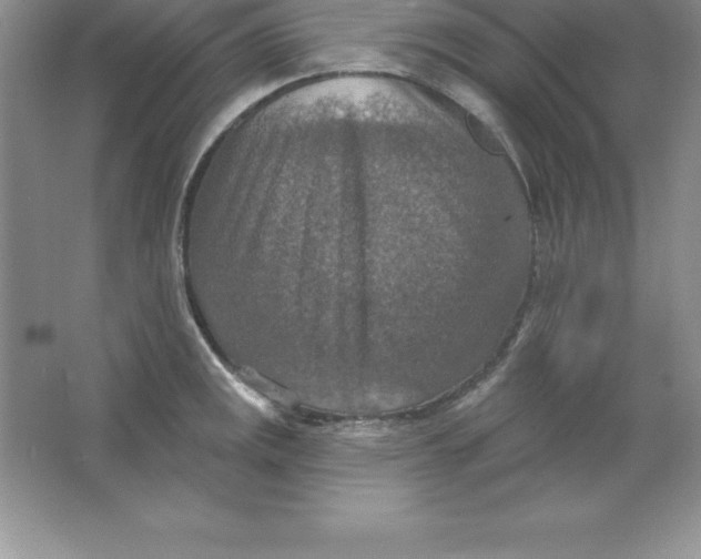 X0000063511141200602101919