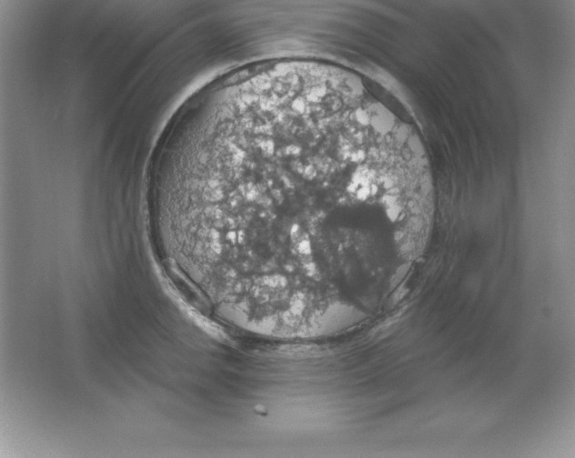 X0000063511142200602101919