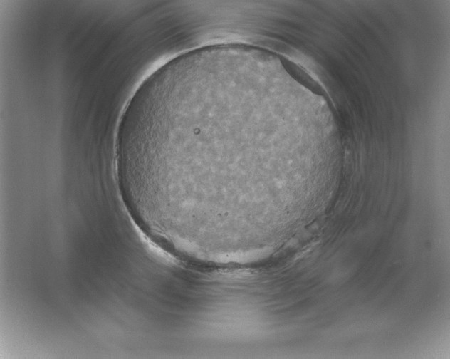 X0000063511143200602101919