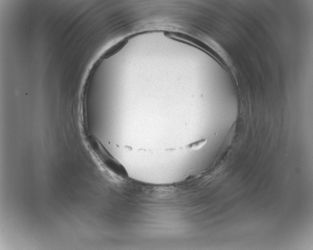 X0000063511144200602101919