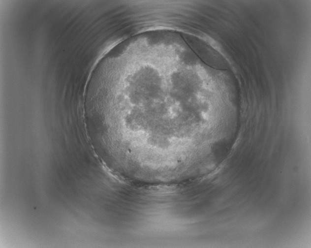 X0000063511145200602101919