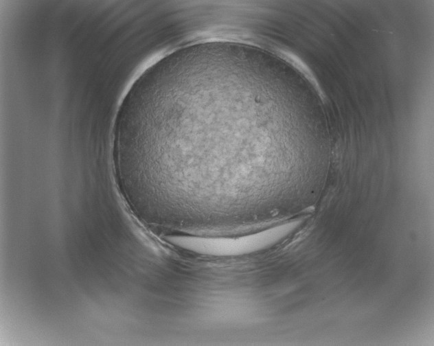 X0000063511146200602101919