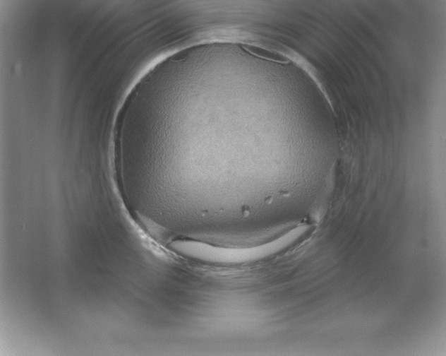 X0000063511147200602101919