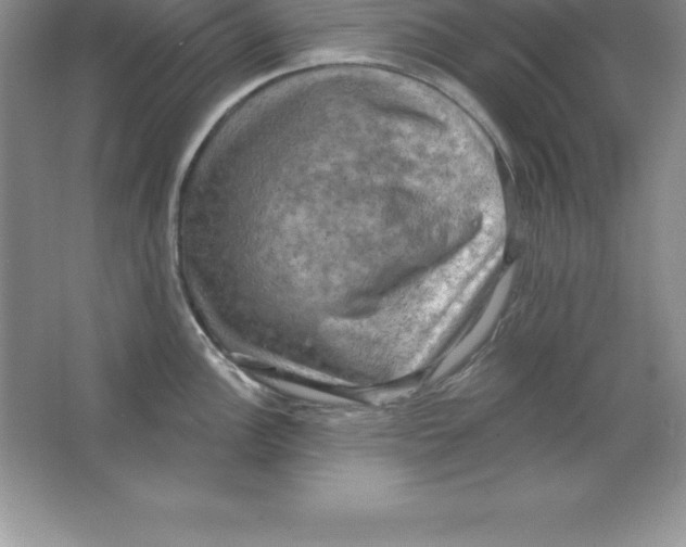 X0000063511148200602101919