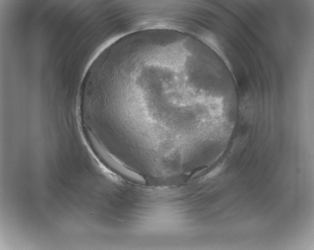 X0000063511149200602101919