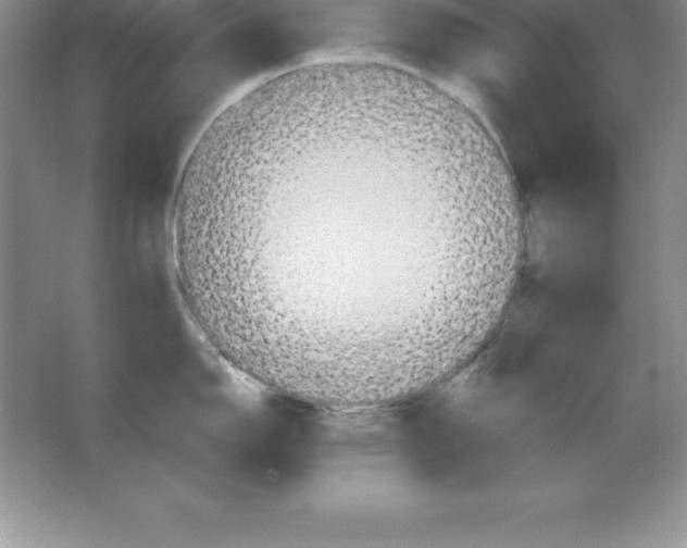 X0000063511150200602101919