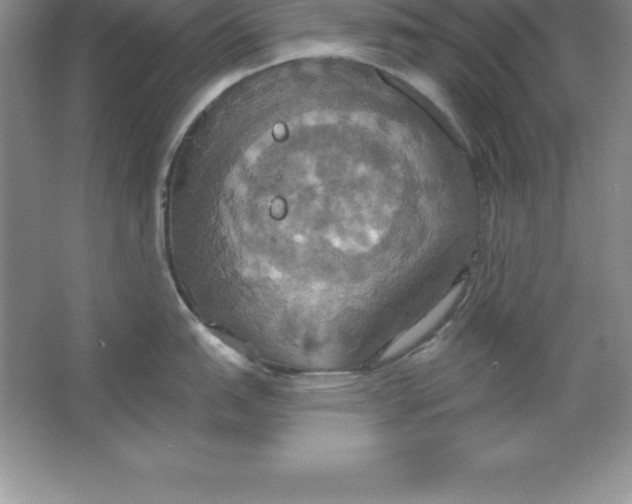 X0000063511151200602101919