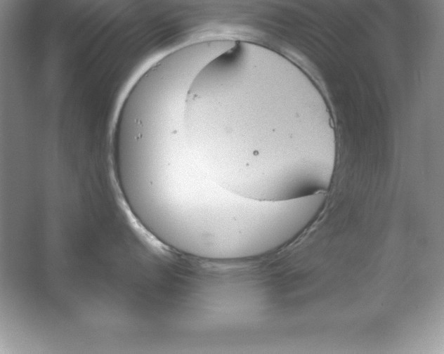 X0000063511152200602101919