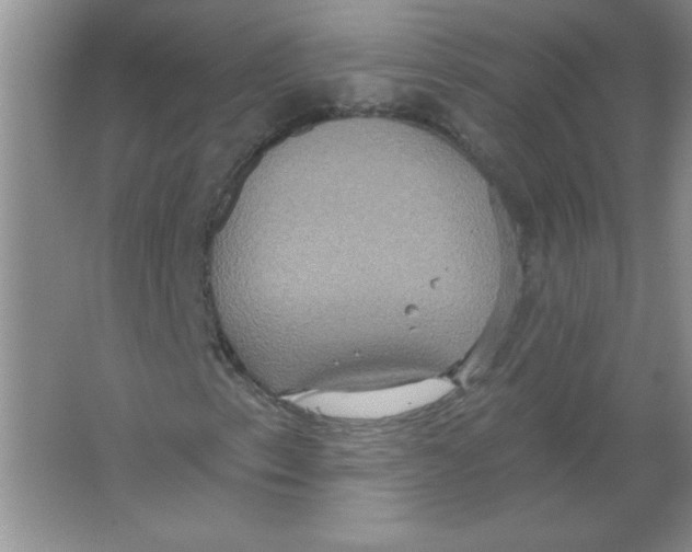 X0000063511153200602101918