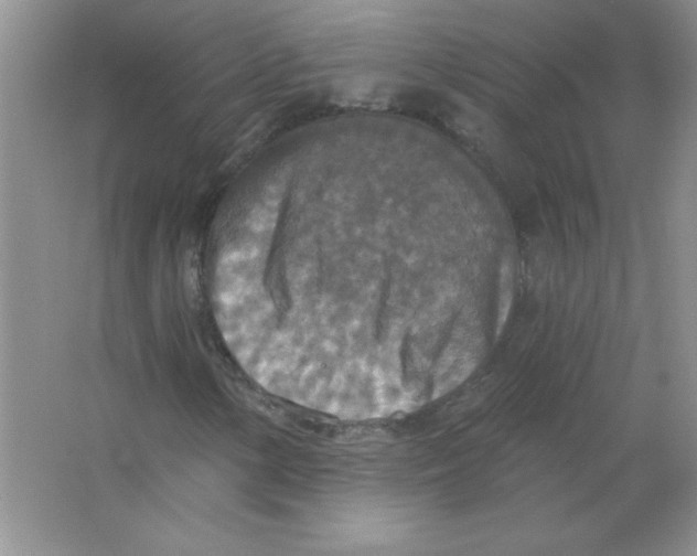 X0000063511154200602101918