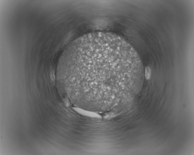 X0000063511155200602101918