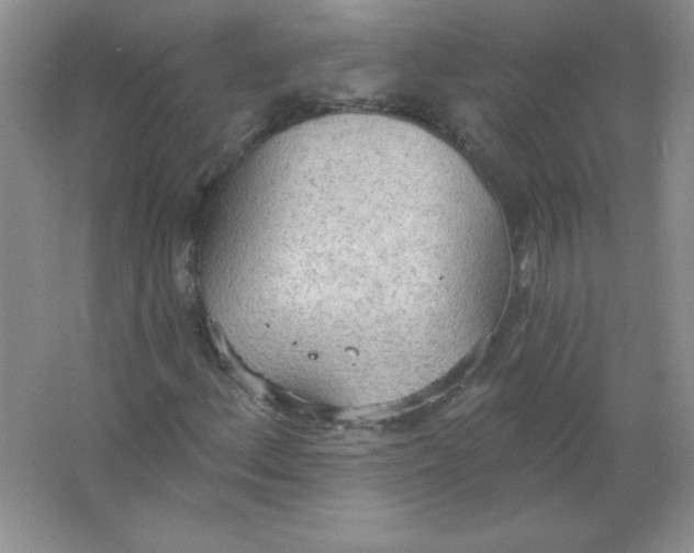 X0000063511156200602101918