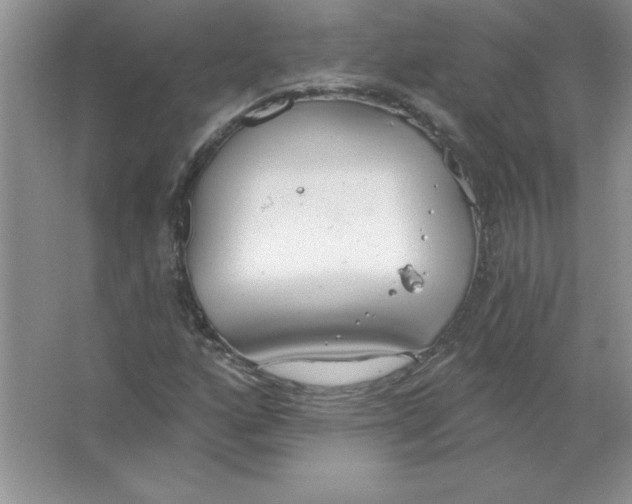 X0000063511160200602101918