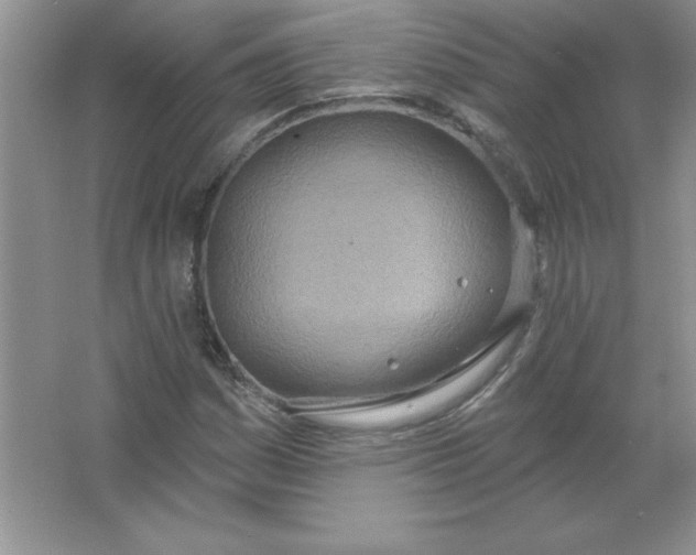 X0000063511161200602101918