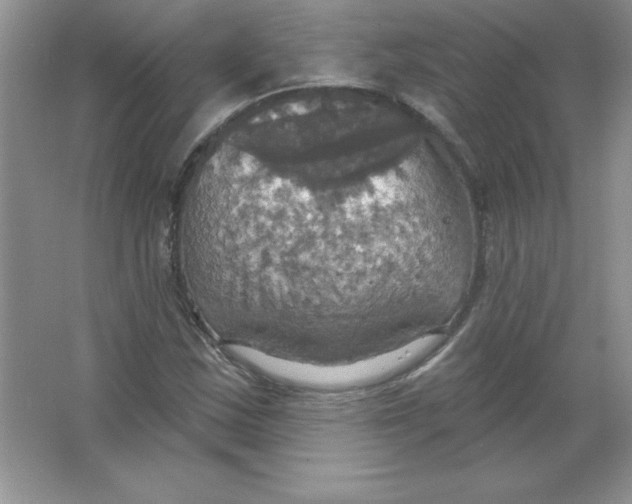 X0000063511163200602101918