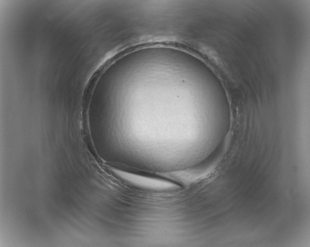 X0000063511165200602101918