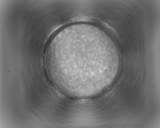 X0000063511166200602101918