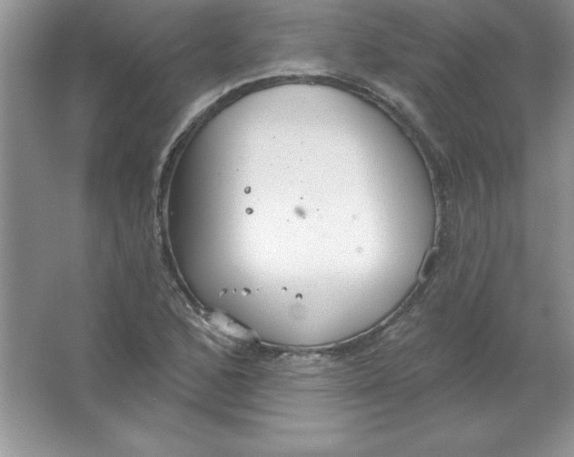 X0000063511168200602101918