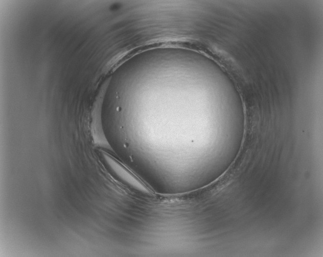 X0000063511169200602101918